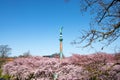 Copenhagen - Spring. Statue of goddess Victoria with palm branch in hand at Langelinie Park in Copenhagen, Denmark.