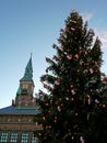 Copenhagen Town Hall and Christmas Tree