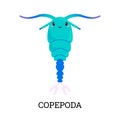 Copepoda aquatic crustaceans occur in plankton flat vector illustration isolated.