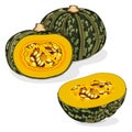 Copped Kabocha winter squash pumpkins. Clipart.