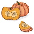 Copped Pink pumpkins. Clipart.