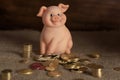 Coppel in the form of a pig with coins in a bag