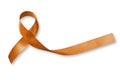 Copper Awareness Ribbon symbolic bow color for Herpes Simplex Virus (HSV 1 and HSV 2) isolated on white