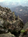 Copper Canyon Mexico