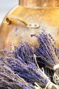 Copper cauldron and lavender, Hungary