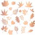 Copper foil leaves vector icon set. Foliage nature leaf isolated elements. Metallic rose gold floral design for elegant Royalty Free Stock Photo