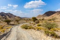 Copper Hike trail, winding gravel dirt road through Wadi Ghargur riverbed and rocky limestone Hajar Mountains in Hatta, UAE Royalty Free Stock Photo