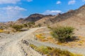 Copper Hike trail, winding gravel dirt road through Wadi Ghargur riverbed and rocky limestone Hajar Mountains in Hatta, UAE Royalty Free Stock Photo