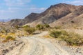 Copper Hike trail, winding gravel dirt road through Wadi Ghargur riverbed and rocky limestone Hajar Mountains in Hatta, UAE Royalty Free Stock Photo