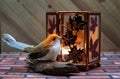 Still life image of a copper lantern with candlelight.