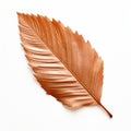 Copper Leaf On White Background: Tropical Symbolism And Hyperrealistic Sculptures