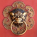 Copper Lion Head