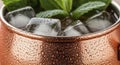 Copper Mule Mug with Ice Mint Royalty Free Stock Photo