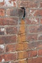 Copper overflow pipe on brick wall with rust stains