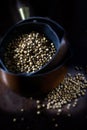 Copper Pan Cilantro Seeds Royalty Free Stock Photo