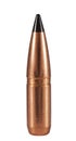 Polymer tipped bullet