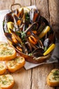 Copper pot of gourmet mussels with lemon, parsley and garlic served on a bread. Vertical Royalty Free Stock Photo
