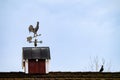 Copper rooster weathervane on a red barn with a pigeon for company, against a blue sky