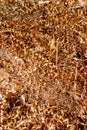 Copper shavings. Copper processing on CNC machines in production.