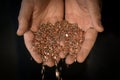 Copper shavings in the hands of the workers.