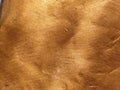 Copper texture background. Bronze old metal texture Royalty Free Stock Photo