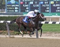 Copper Town Wins at Belmont