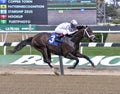 Copper Town Wins at Belmont