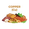 Copper (Cu) in food icon vector