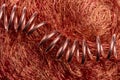 Copper wire close-up Royalty Free Stock Photo