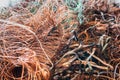 copper wire scrap from electric cable recycling. Royalty Free Stock Photo