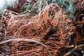 copper wire scrap from electric cable recycling. Royalty Free Stock Photo