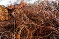 copper wire scrap from electric cable recycling. Royalty Free Stock Photo