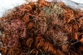 copper wire scrap from electric cable recycling. Royalty Free Stock Photo
