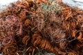 copper wire scrap from electric cable recycling. Royalty Free Stock Photo