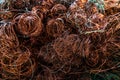 copper wire scrap from electric cable recycling. Royalty Free Stock Photo