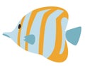 Copperband Butterflyfish in flat style.