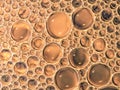 Coppery Colored Oil-and-Water Bubbles