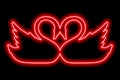 A copuple of swans touching each other's heads. A couple of birds in love. Red neon outline Royalty Free Stock Photo