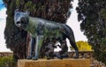 A copy of an ancient bronze statue of the Capitoline she-wolf br Royalty Free Stock Photo