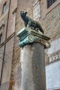 Copy of Capitoline Wolf statue on pillar at the northern corner of Palazzo senatorio. Rome. Italy Royalty Free Stock Photo