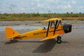 A copy of the English model Tiger moth plane