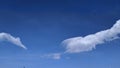 Copy free space for text on deep blue sky background with white puffy & fluffy cumulus or cumulonimbus cloud Royalty Free Stock Photo