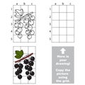 Copy the image using grid. Blackcurrant