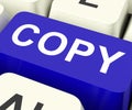 Copy Keys Mean Duplicate Copying Or Replicate