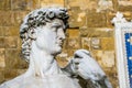 Copy of Michelangelo`s sculpture of David. Made of Luigi Arrighetti 1910 in Florence Royalty Free Stock Photo