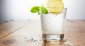 Copy spaÃÂe - glass of sparkling water on a table with a lemon and a mint Royalty Free Stock Photo