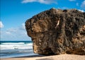 COPY SPACE: Breathtaking shot of woman climbing a massive boulder near the ocean