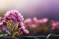 Copy space charm Arctostaphylos uva ursi flower amidst blurred garden backdrop