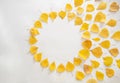 copy space circle with yellow autumn leaves.October sun.season flat lay on a white background.thanksgiving holiday design Royalty Free Stock Photo