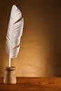 Copy space image of goose feather in inkstand